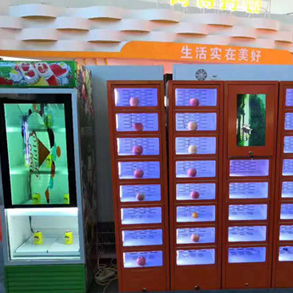 機箱機柜10